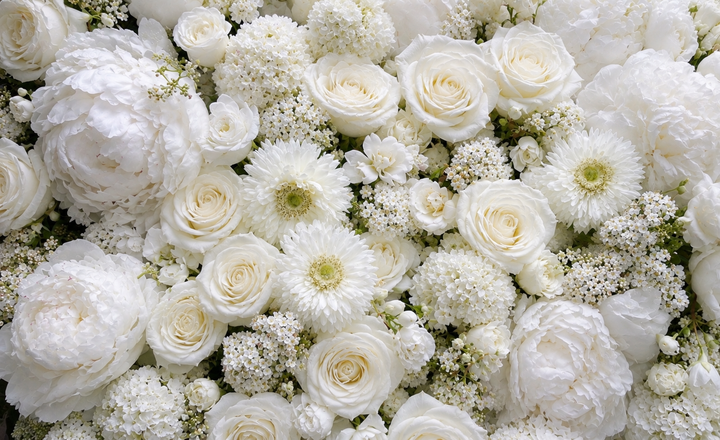 White Designer's Choice