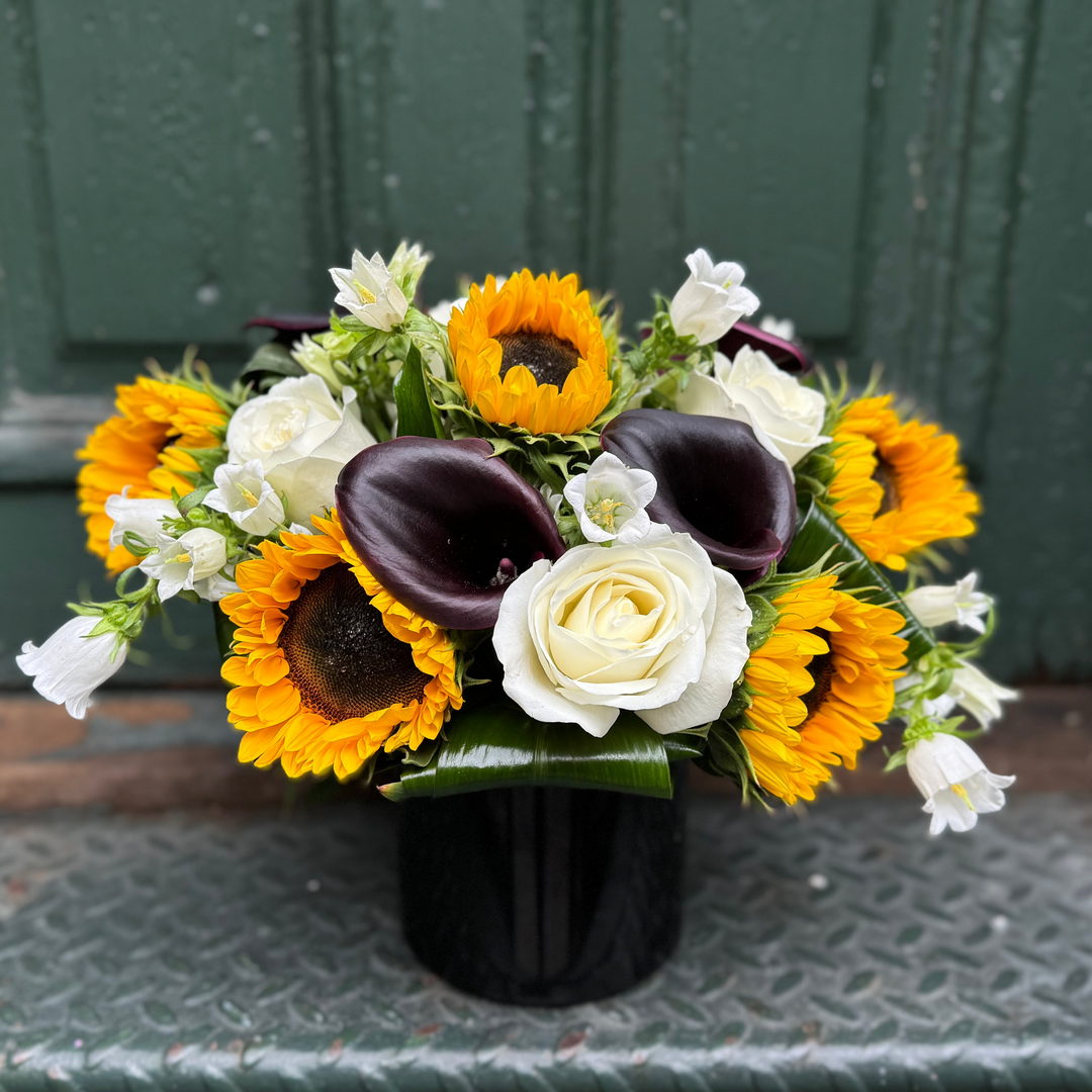 Sunflower Eclipse