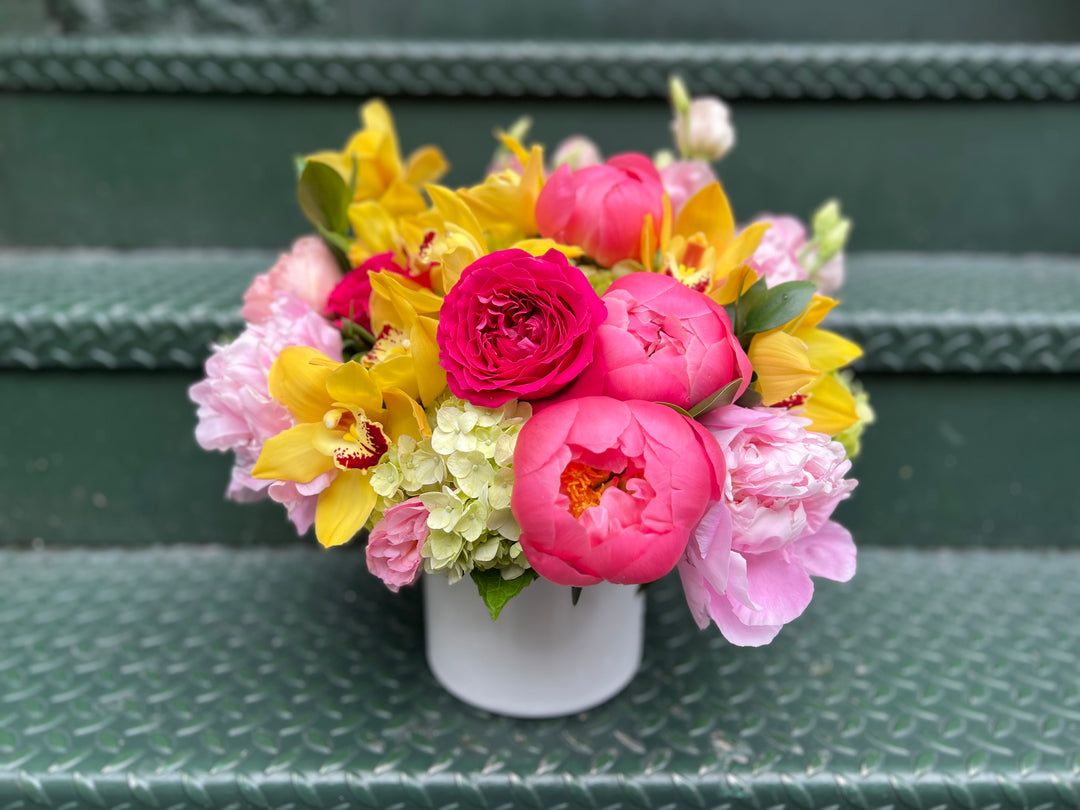 Dahlia Picnic