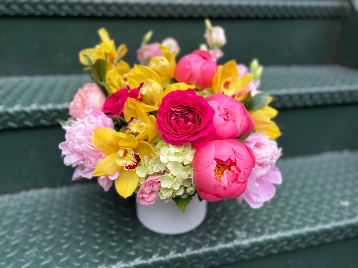 Dahlia Picnic
