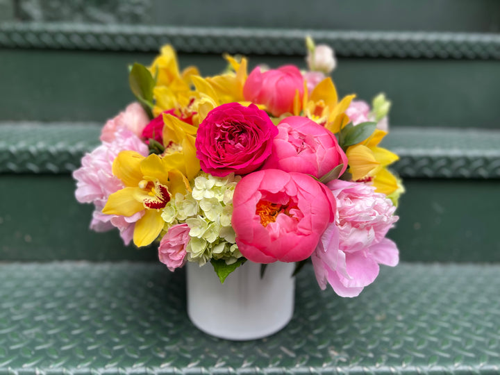 Dahlia Picnic