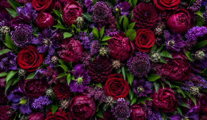 Jewel Toned Designer's Choice