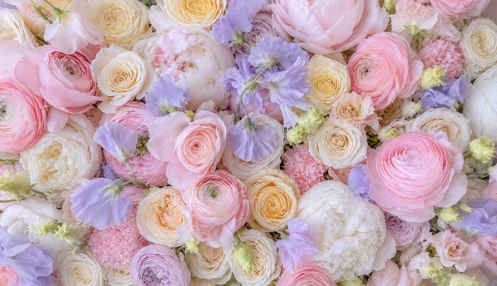 Pastel Designer's Choice