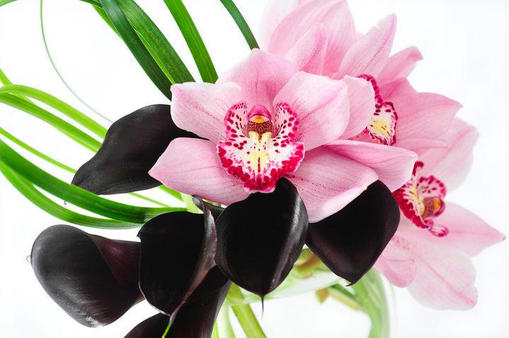 Boundless Blooms