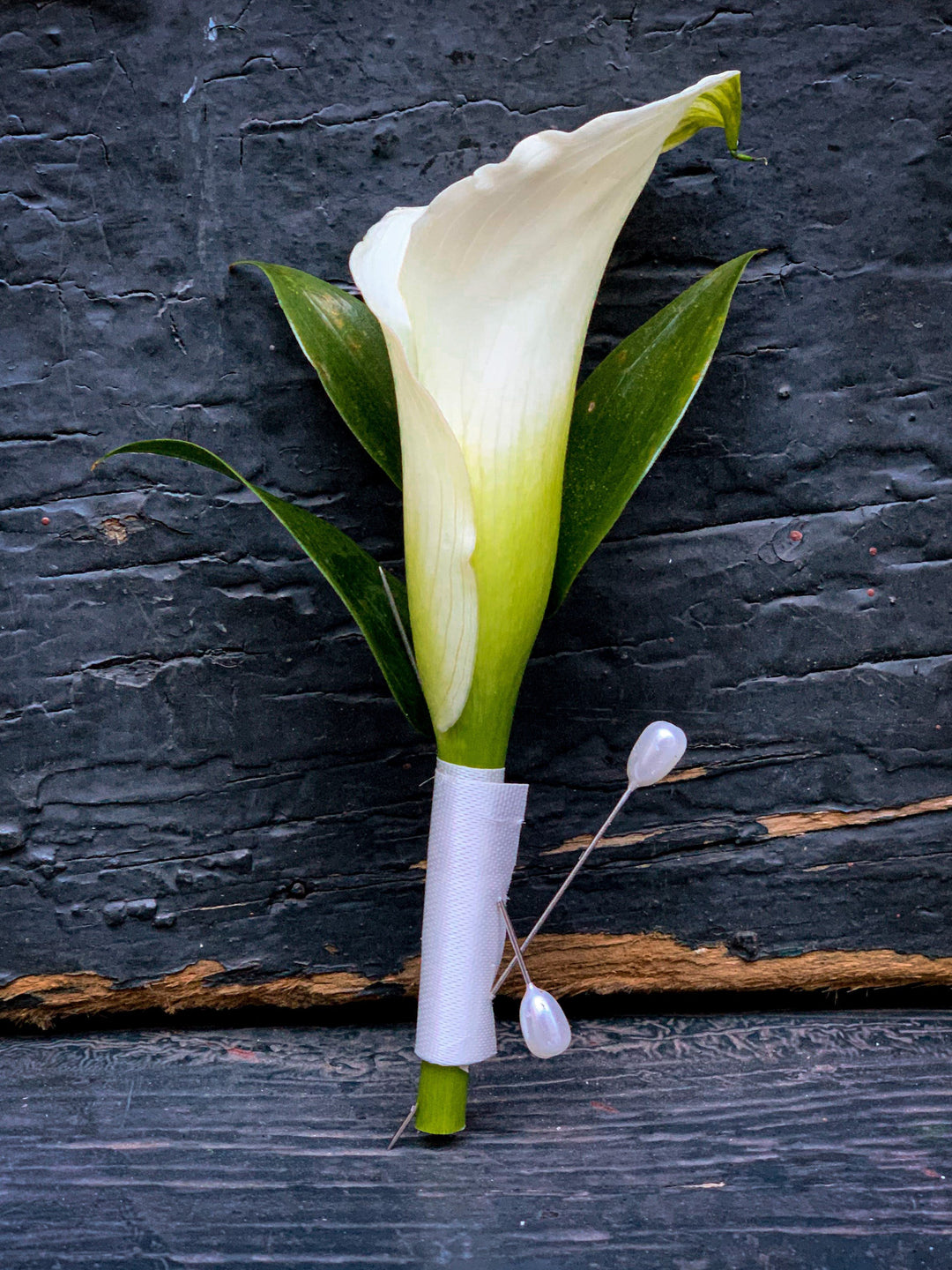 calla lily