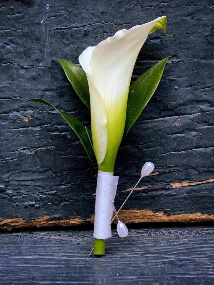 calla lily